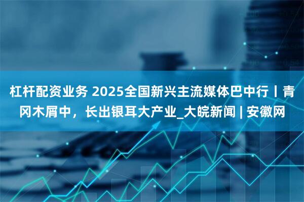 杠杆配资业务 2025全国新兴主流媒体巴中行丨青冈木屑中，长出银耳大产业_大皖新闻 | 安徽网