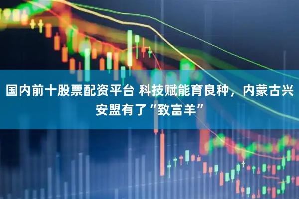 国内前十股票配资平台 科技赋能育良种，内蒙古兴安盟有了“致富羊”