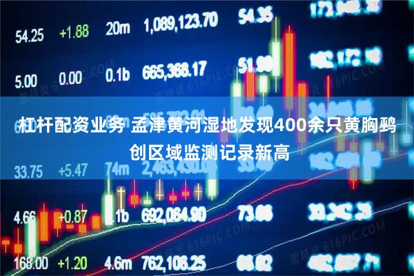 杠杆配资业务 孟津黄河湿地发现400余只黄胸鹀 创区域监测记录新高